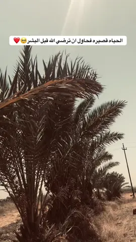 #تصوير #تصوير_احترافي_الاجواء👌🏻🕊😴 #تصميم_فيديوهات🎶🎤🎬 