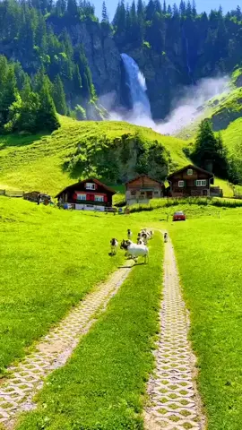 bom dia ☀️🙏 #bomdia #motivacao #proposito #oracao #fe 