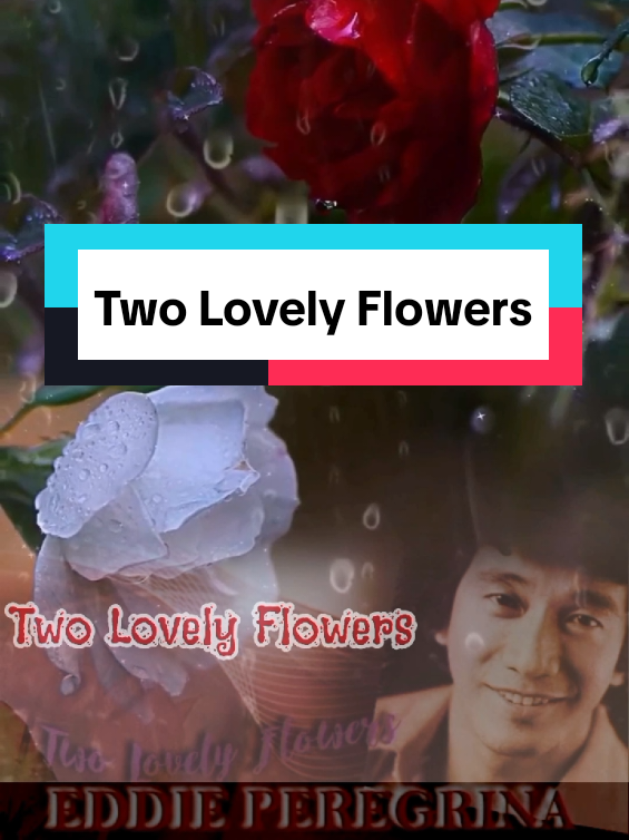 #music #twolovelyflowers #eddieperegrina #1969 #coversong by ayamtv @Alexa97 @veline373 