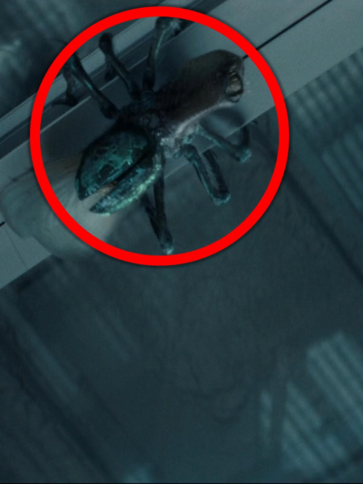 The Fly is actually the most powerful among alien creatures#alienearth #alien #creature #fly #tvshow #theory
