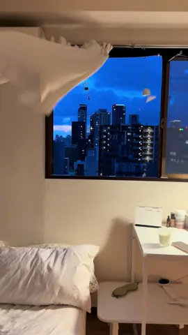 关于夏天的悠长的梦