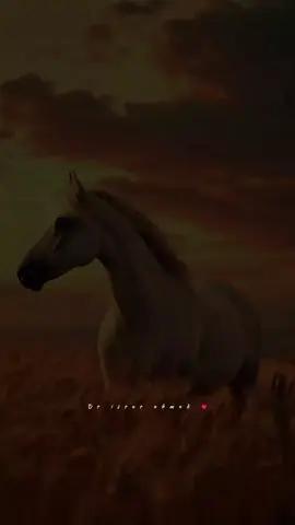 آپ کو جس نے جو بتا دیا🤲🖤 | Dr Israr Ahmed | Emotional Clip . . . . #drisrarahmed  #dr_israr_ahmed  #dr_israr_ahmed_lectures  #drisrarahmedofficial  #dr_israr_ahmed_emotional_bayan 