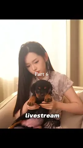 Replying to @Lily👑 #movie #shortfilm #shorts #chinesedrama 