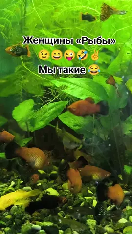 #знак#зодиака#рыбы 