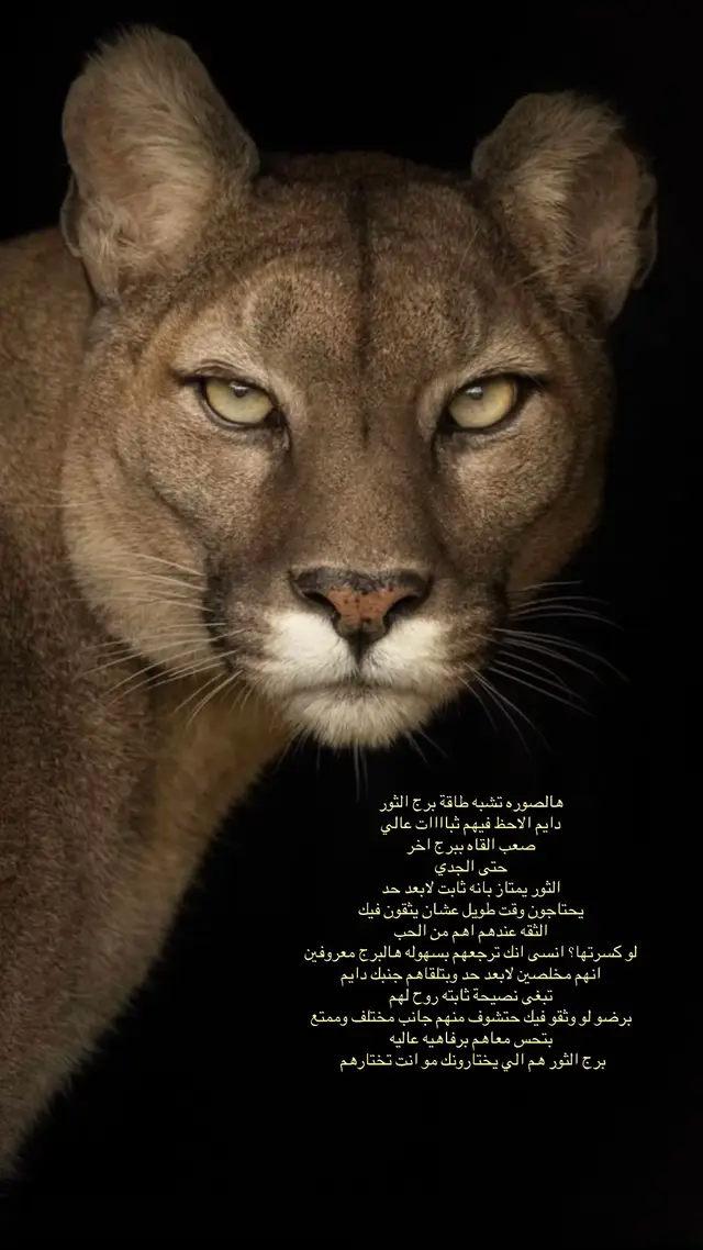 #اكسبلور #explore #foryou #fypシ #فوريو 