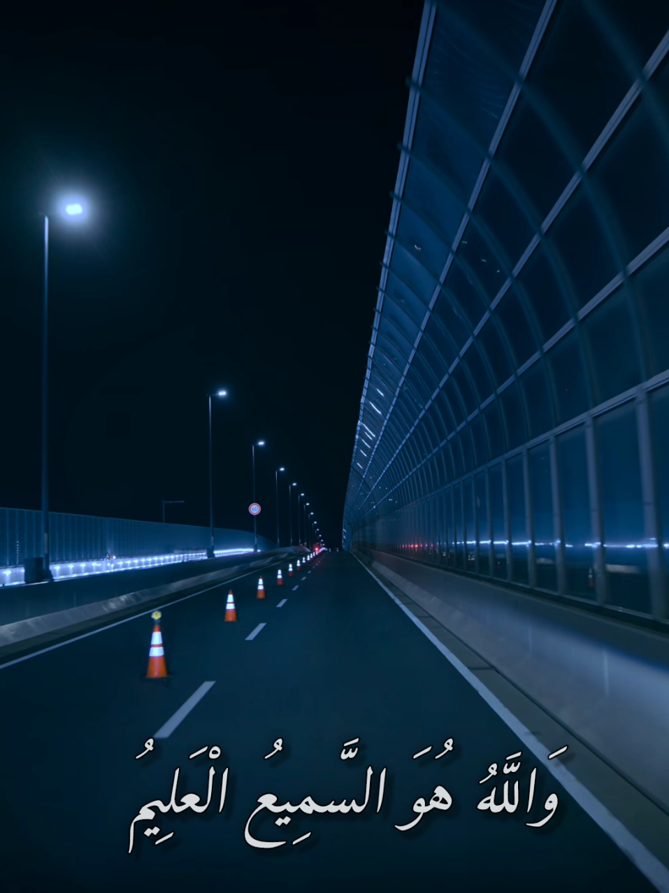 أَفَلَا يَتُوبُونَ إِلَى اللَّهِ وَيَسْتَغْفِرُونَهُ وَاللَّهُ غَفُورٌ رَحِيمٌ  #ماهرالمعيقلي #اكتب_شي_توجر_عليه #استغفرالله_العظيم_واتوب_اليه #quran_alkarim #quran 