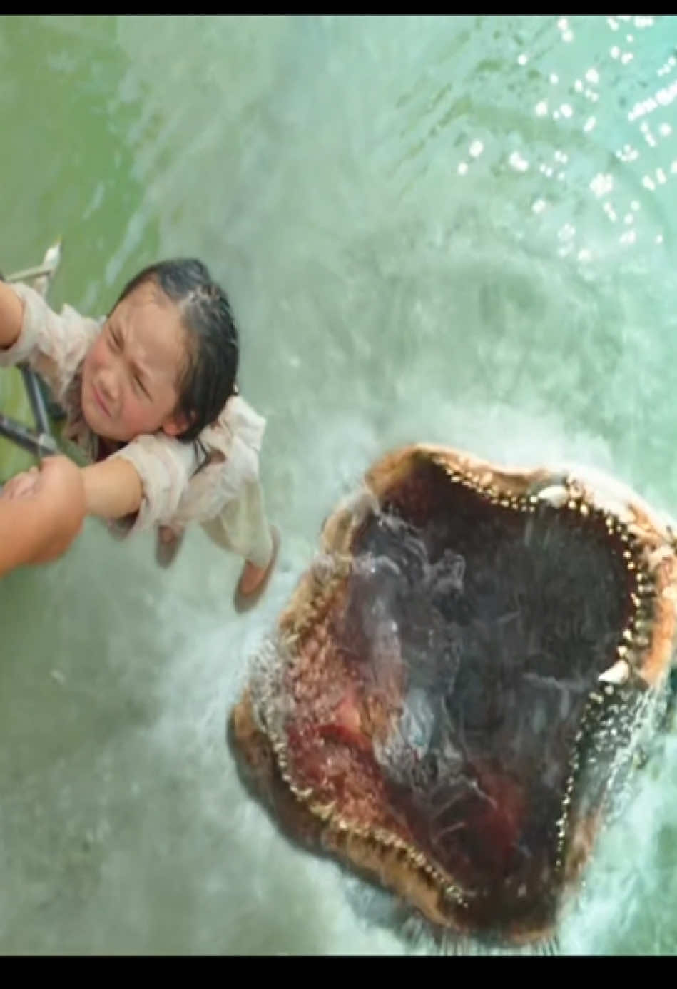 #Fyp #movie #film #Filmerklärung