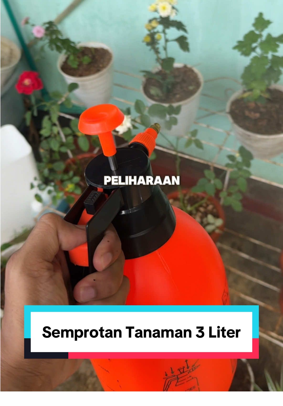 Alat semprot sprayer tanaman 1-3 liter. #semprotantanaman #sprayertanaman #semprotantanaman3liter #botolsemprot 