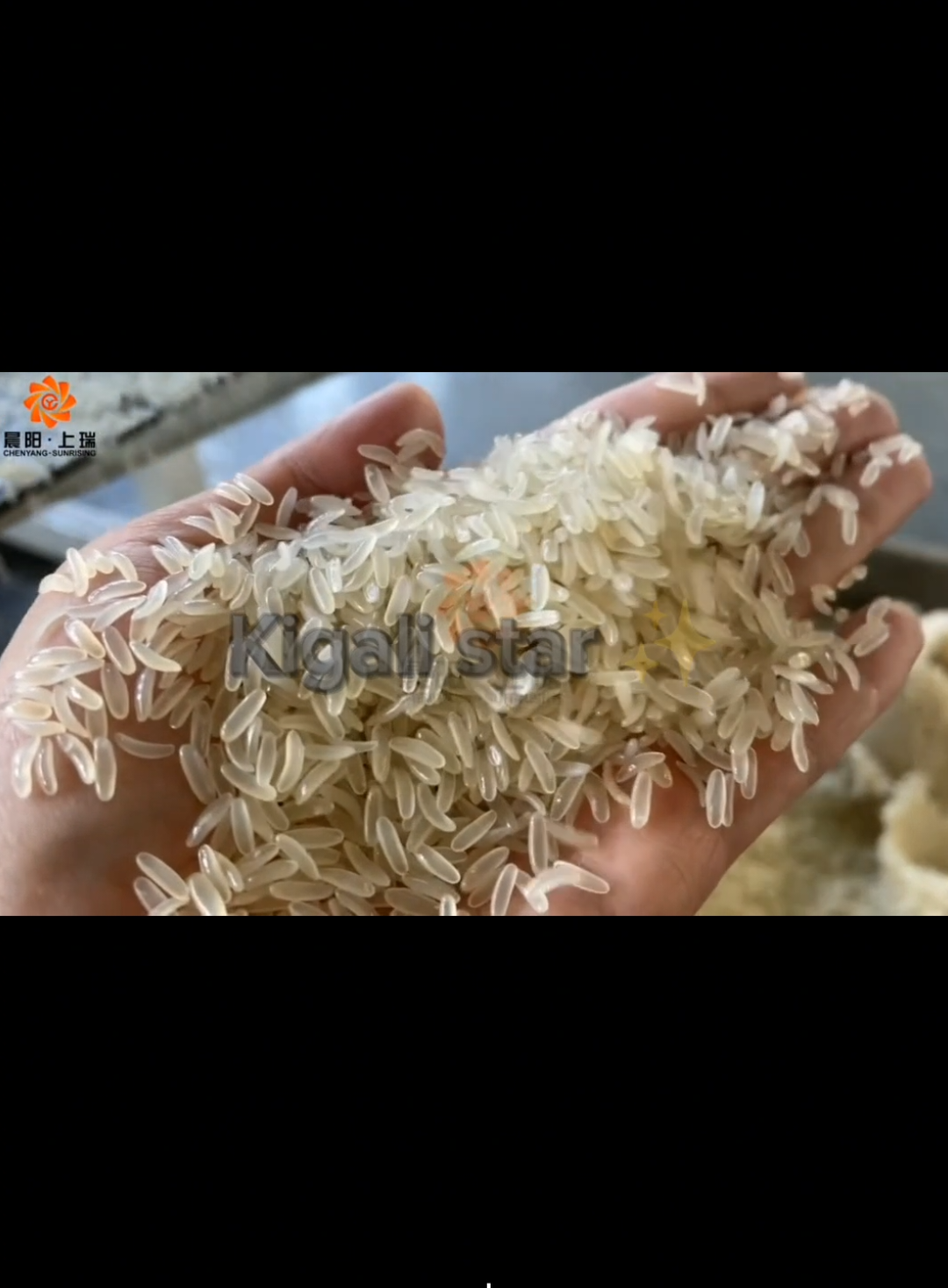 #creatorsearchinsights 