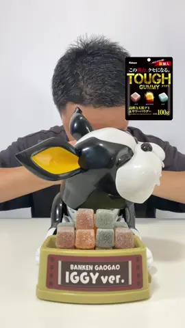 番犬ガオガオチャレンジ 【silent challenge】 #toys #asia #world #gummy 