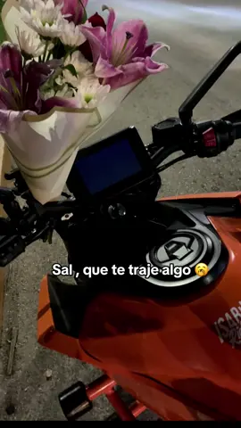 Como debe ser 😶‍🌫️😳#😶‍🌫️  #duke390 #ktm #ktm 