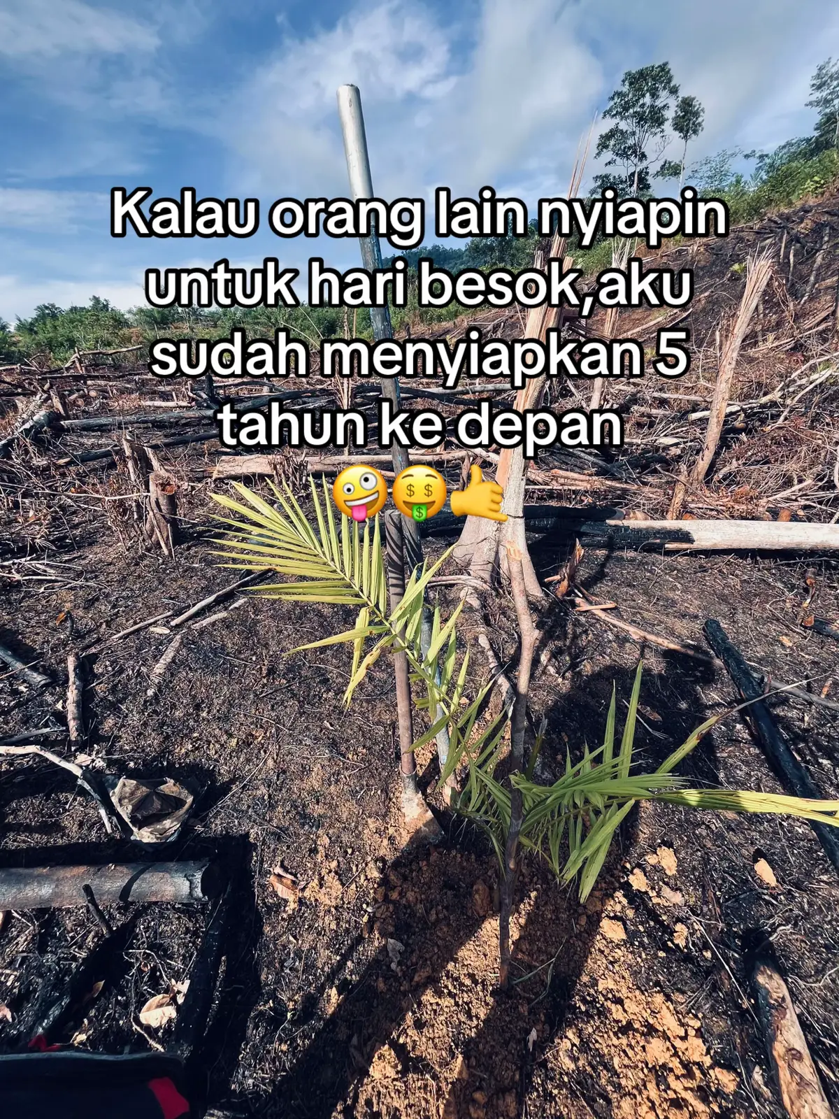 Ngejar target buat masa depan aja🤪#fyp #petanisawit #bosmuda #petanisukses #perintisbukanpewaris 