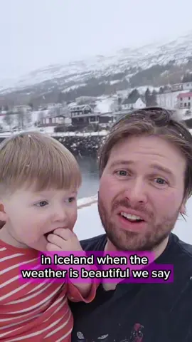 3 minutes of Magnús stealing the show😊