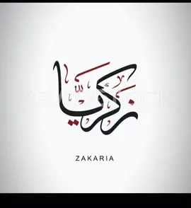 #ترند #اكسبلور #فضل شاكر #السعودية #ام 