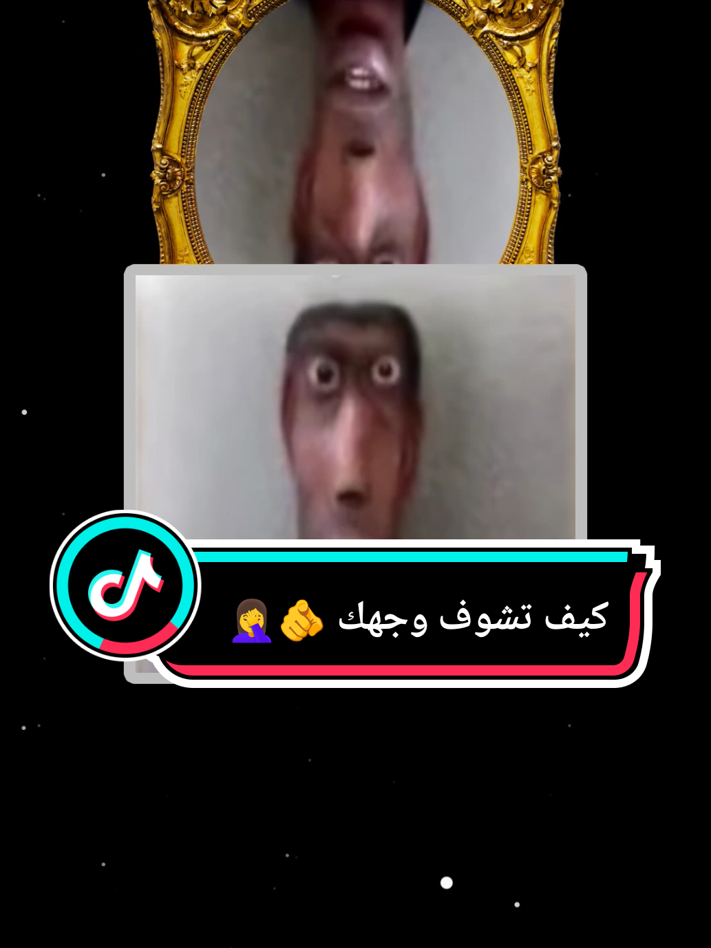كيف تشوف وجهك #كرومات_جاهزة_لتصميم #اتحداك #ميزة #فلتر_inverted inverted #فلتر_تيك_توك_tiktok 