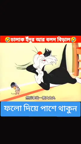 বিড়াল আর ইঁদুরের পাগলামি !!🤣🤣#creatorsearchinsights #cartoon #banglacartoon #funnycartoon #sakhaoatfacts 