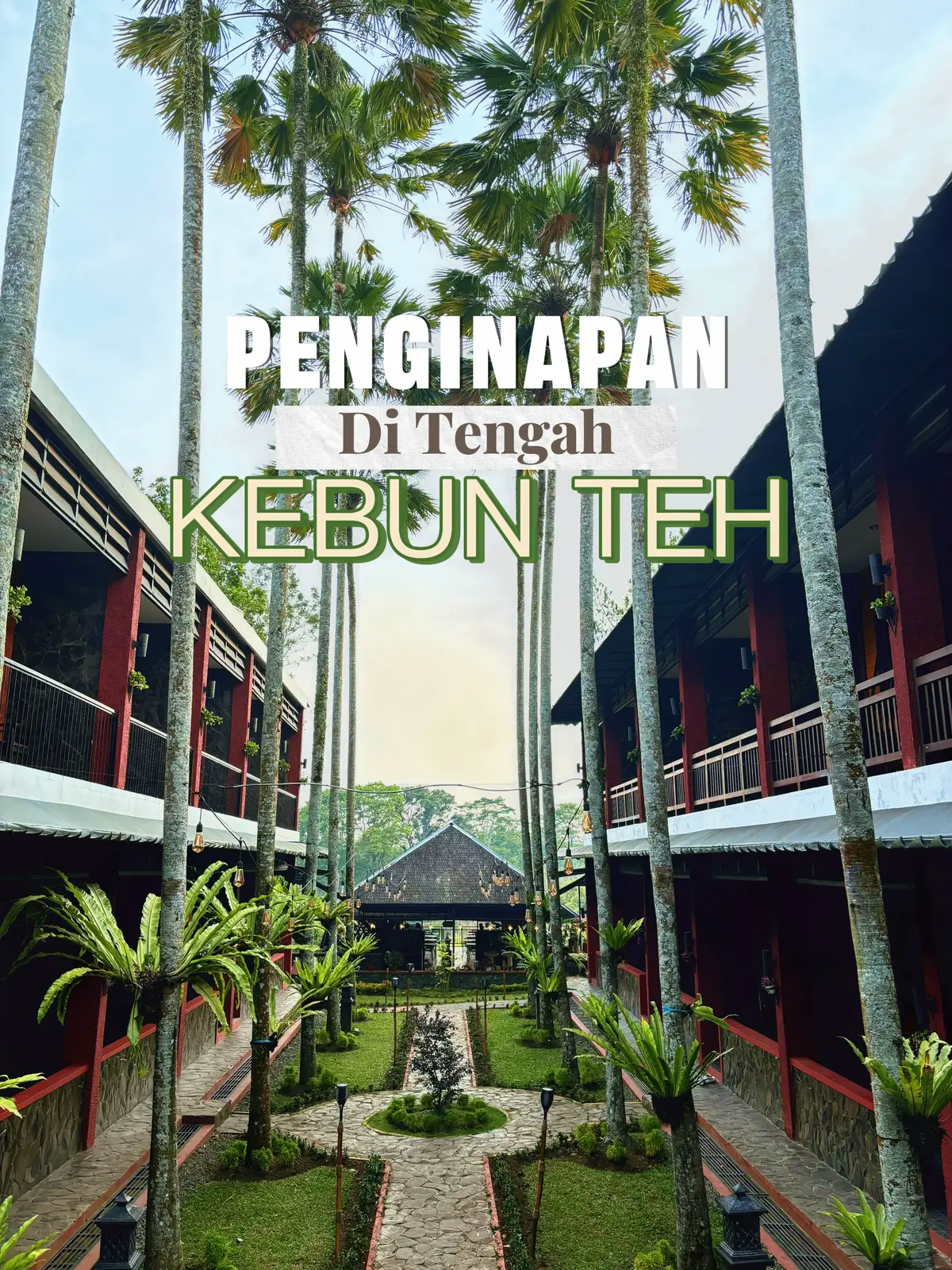 Penginapan view kebun teh di Lawang, Malang ✨#rollaashotelandresort #rollaashotel #hotelmalang 