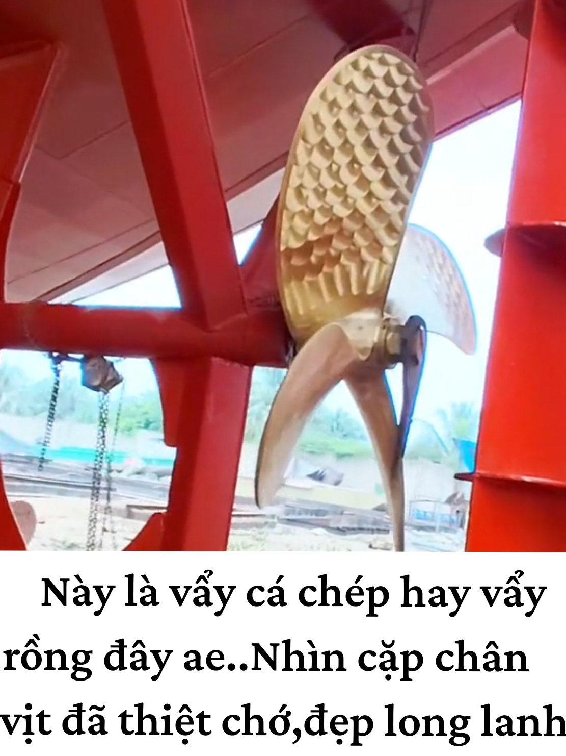 thương hiệu chân vịt này của ai đây *Sà lan xưởng tàu Thiện Chiến-Tân Thạch-Châu Thành-Bến Tre. #salan #suachuasalan #nghecuatoivlog #xuongtauthienchien #mayhantanthanh 