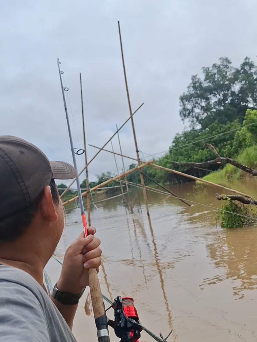 Target ikan besar tapi ini pun jadi karena air sudah pasang bukan kemarau #sungaikapuas #mancing #baung #kapuashulu 