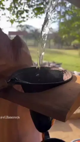 Buenos días ☕#purollanofamilia🐎🐂 #Guarico🐎🐂🇻🇪 #Apure🐎🐂🇻🇪 #Barinas🐎🐎🇻🇪 #Venezuela🇻🇪🇻🇪 