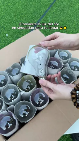 Con esta lámpara, los ladrones ni se acercan 👀.#outdoorlights #solarlights #tuffenough #lights #tiktokmademebuyit 