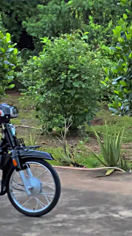 Dream zin leng keng đi cf #dream #dreamkieng #xuhuong #xuhuongtiktok