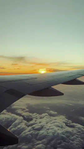 Temazo salsa que mas se escucha #djalgeniscedeño #brasil🇧🇷 #viral #salsa 