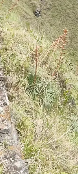 🏍️🏍️🏍️🏍️♥️♥️