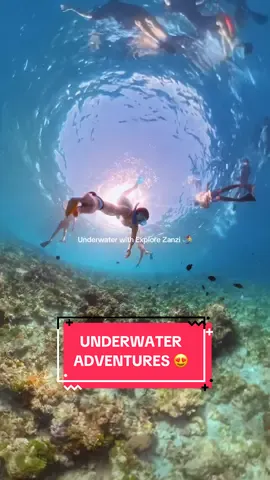 Ever seen Zanzibar underwater? 😍 @aiidag4  #Zanzibar #Mnemba #Corals #Underwater #Zanzibarholiday 