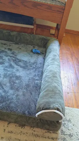 @Yirukapets has the best dog beds! #dogbed #comfydogbed #dogaccessories #dogbeds 