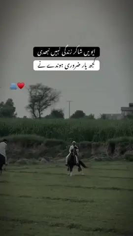 کجھ یار ضروری ہوندے نے 🫂 #fyp#viraltiktok#poetry#punjabi#unfrezzmyaccount 