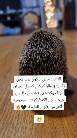 #tiktokmaroc #tiktok #maroc #casablanca #marocaine 