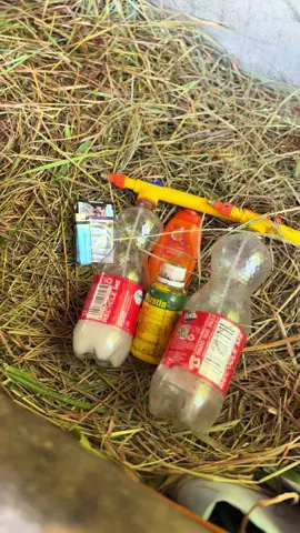 #bismillahfyp #sapi #sapilimusin #sapisimentalsuper #kandangmburioma