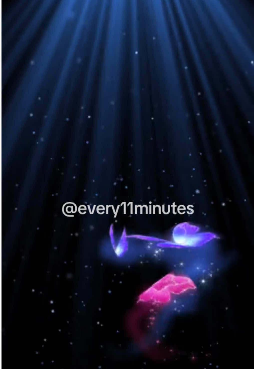 #forever #rip #every11minutes #hugglezmovement #onthisday 