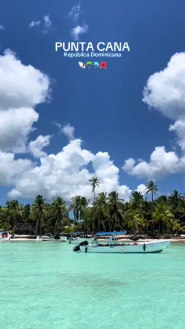 That’s your sign to go🏝️🥥🌺#puntacana #republicadominicana #travel #saonaisland #fyp 