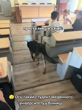 Telegram typical_vinnytsia 🫣 Ось такий студент медичного університету у Вінниці