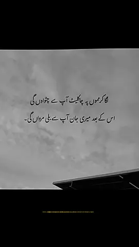 #viral #trendingsong #foryoupageofficiall #viralvideosofficial #naseebolalsong🔥🥀 @𝙑𝙄𝙋 𝗗𝗘𝗦𝗘𝗥𝗧 𝗦𝗙𝗔𝗥𝗜 