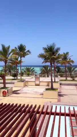 #في هذا اليوم 