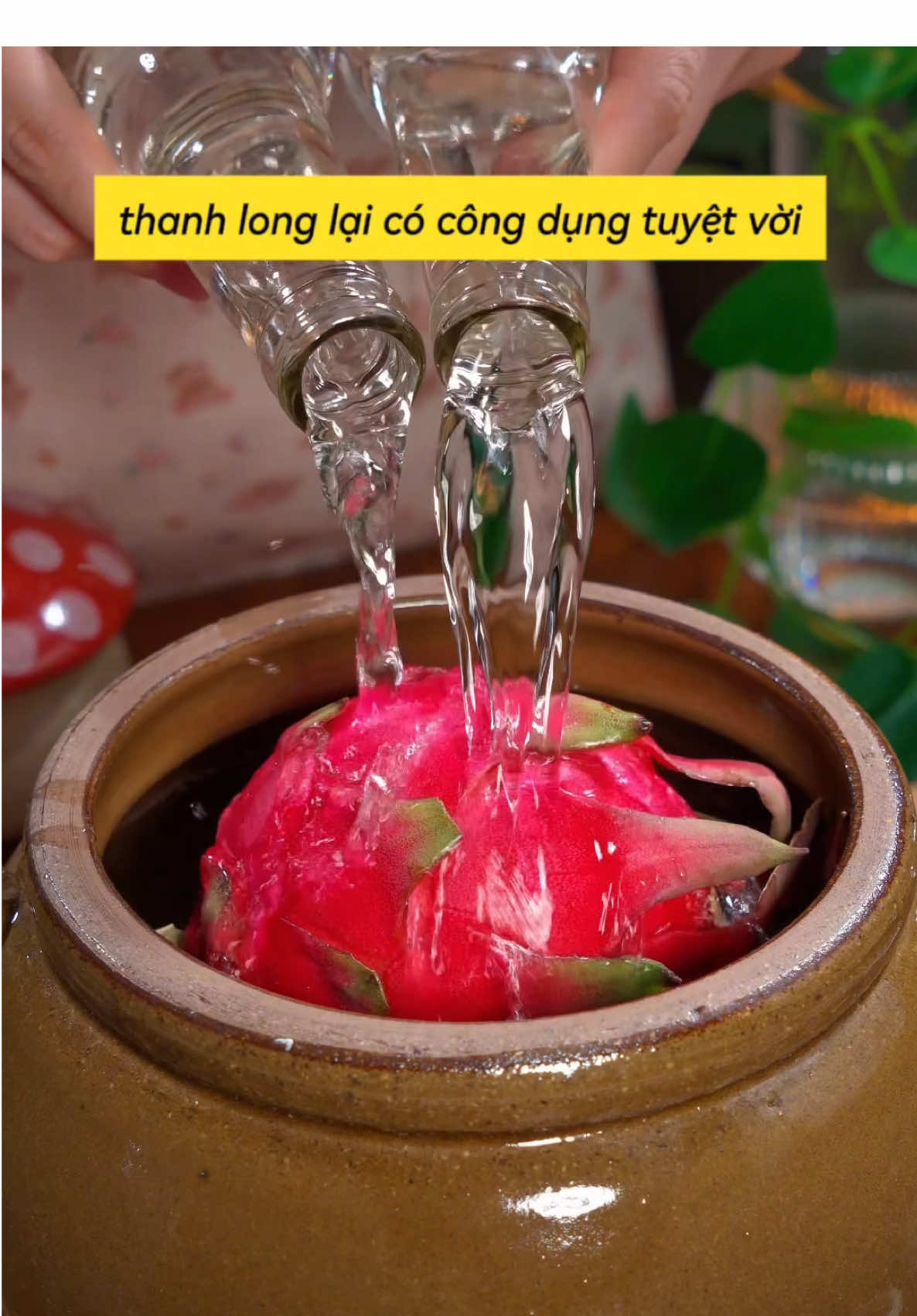 “Sau khi tự học y học cổ truyền mới biết 🤯 Thanh long không chỉ là trái cây mát lành mà còn có thể lên men thành nướctrái cây cực bổ 💪 Ngon, ngọt, thơm và giàu anthocyanin. Uống mỗi ngày, vừa đẹp da vừa khỏe người 🌸 #trungbacthao #amthuctrungquoc #ẩmthựctạinhà #botlamtrungmuoi #monngon