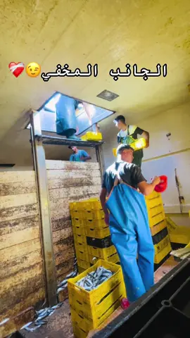 NAVIGI T3ich🪓❤️#الشعب_الصيني_ماله_حل😂😂 