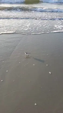 #CapCut #Buenos díasssss