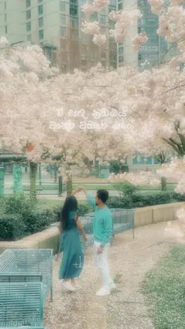ඒ සඳ නුඹමයි!🤍 [ wait for it ] #fyp #foryoupage #1111thoughts #couplegoals #viral  Video credits @shashiii.e 💕