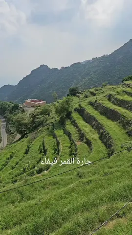 #فيفاء  #السياحة  #جازان  #اكبسلووور 