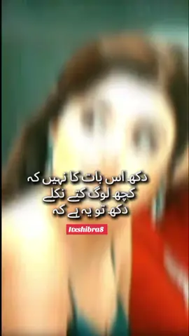 #دکھ اس بات کا نہیں کہ کچھ لوگ کتے نکلے دکھ تو یہی کتے ہو کر بھی وفاداری نہ کر سکے#itxshibra8 #hendeercel💎👑👑💗💫💕😻🍯🍫❤💞🍓💘😍😙🌷🌹🌸💚🌚💖🍭🍭🍬💛 #sarahkhanasmiraal #100kviews 
