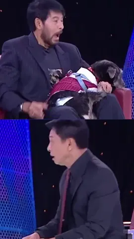 😱 ดูให้จบ…ไม่คิดว่าจะจบแบบนี้! แค่แป๊บเดียวก็ไวรัล! 🔥 #ค#คลิปเด็ดแ#แป๊บเดียวไวรัลว#วิดีโอมาแรง #tiktokthailand 