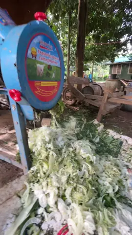 Chop Machine Shreder Machine Pangcut ng Pagkain ng Baboy at Manok Laking Tipid #farming #farming 