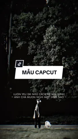 Luôn yêu em như cách mẹ anh bán bánh anh chả muốn nghĩ.. #CapCut #edit #mẫucapcut #xh #nhachaymoingay #lyrics #capcutmaster 