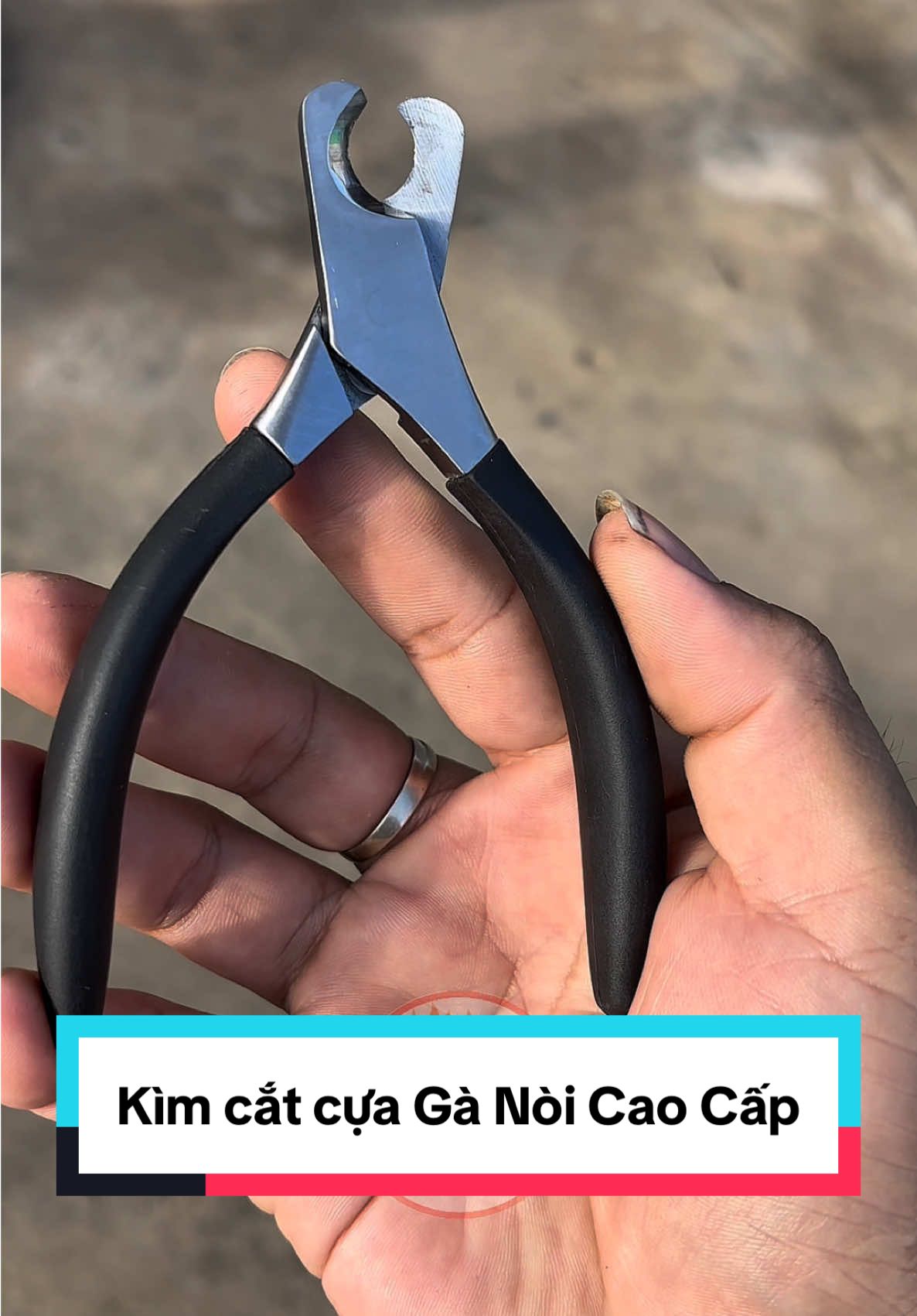 Kìm cắt cựa cho chiến kê hàng cao cấp, thép không rỉ #khangphukiengada #gachoivietnam #chienke #kiemcatcua 