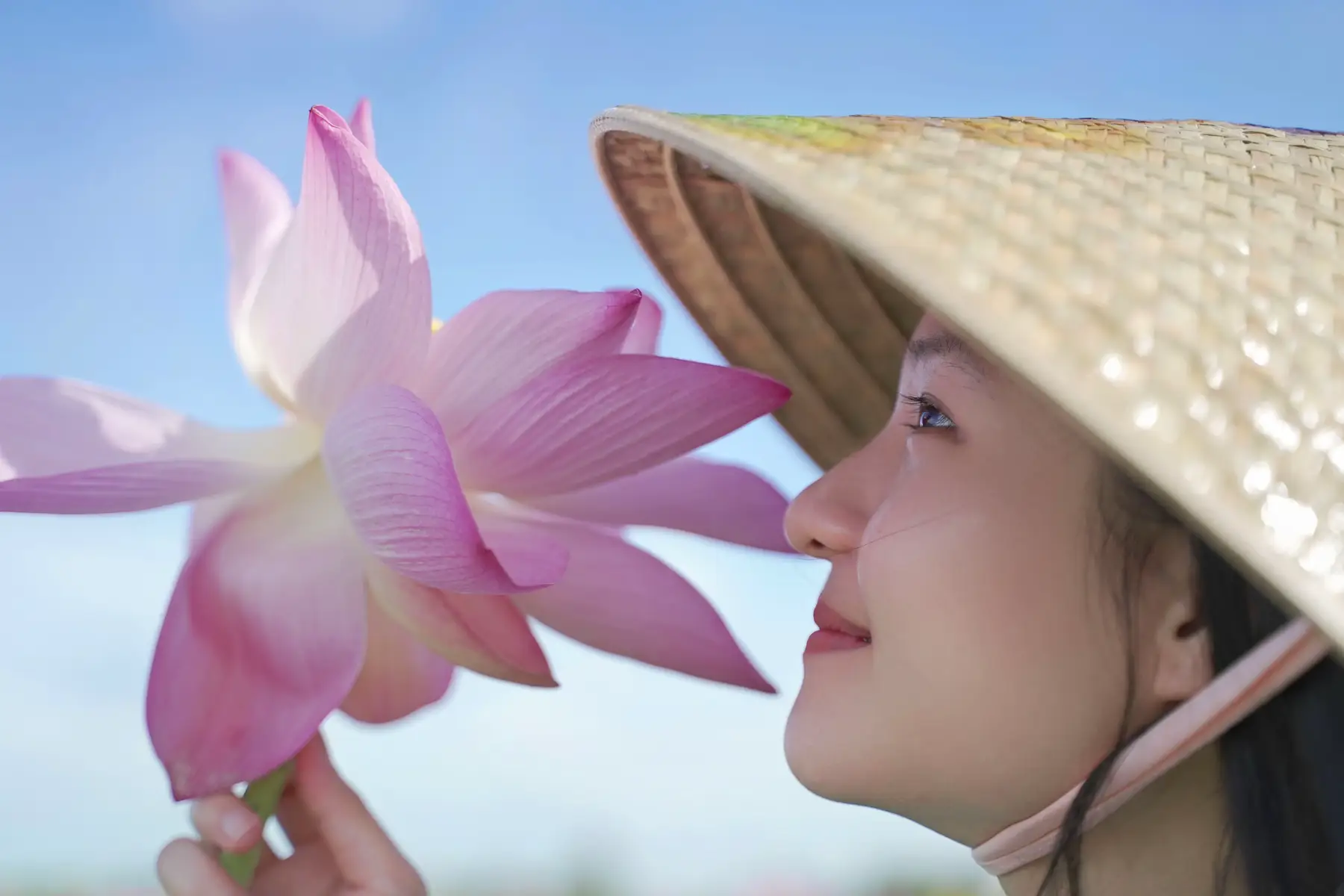 Bông sen đẹp nhất quê mình  #quynhxudua #dongthap #hoasen #thapmuoi #congaimientay 