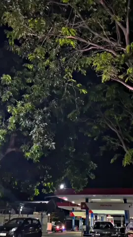 Entah mengapa rindu hatiku masih didada... #fyp #soundmalay #sampaihati #xyzbca #malaysong 